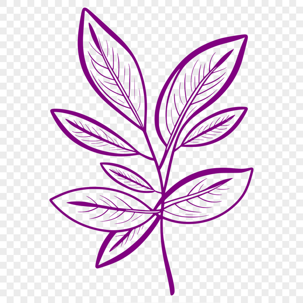 Green Leaf Clip Art Vector Design A green leaf with veins depicted in vector format.