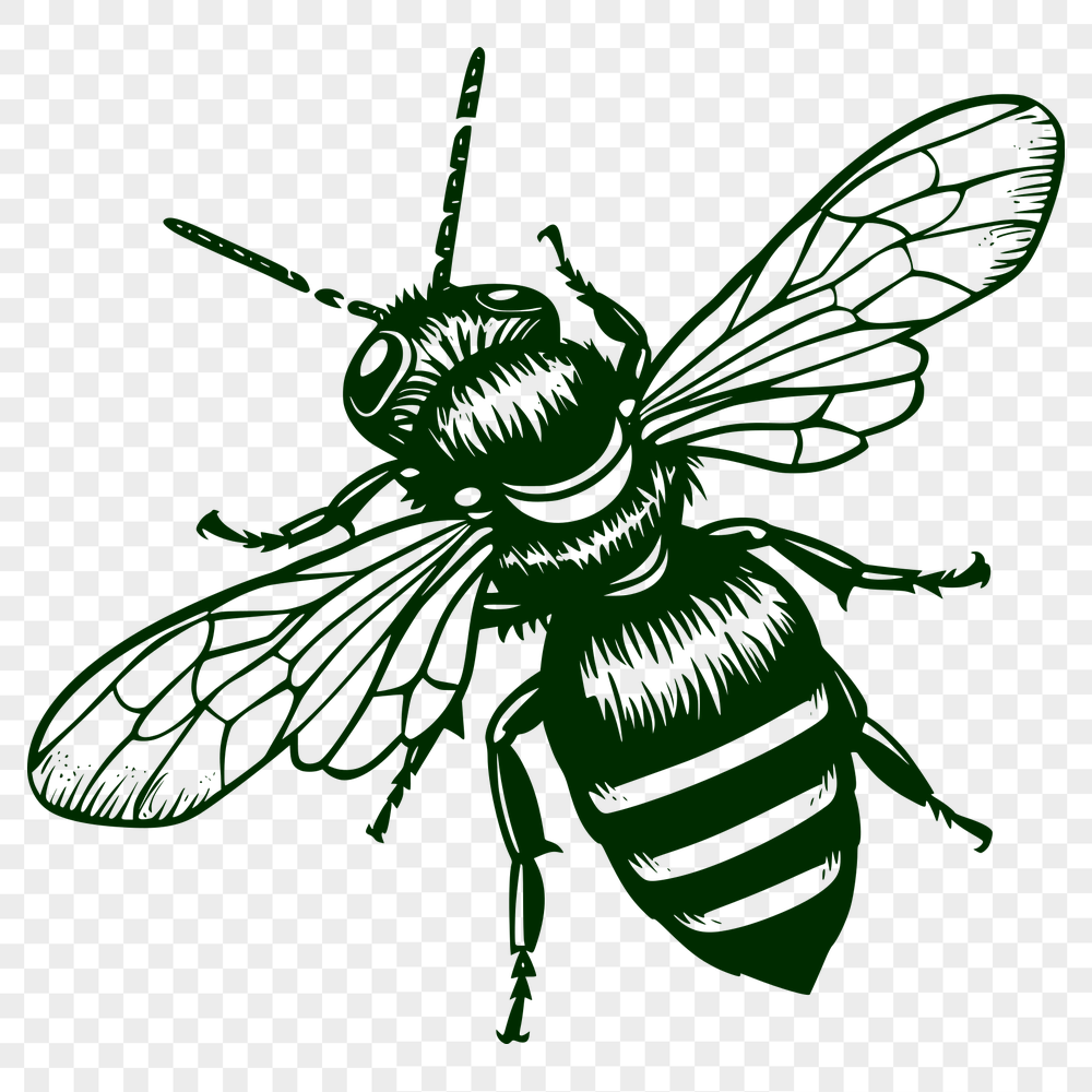 Artistic Bee SVG, PNG, PDF And DXF Files