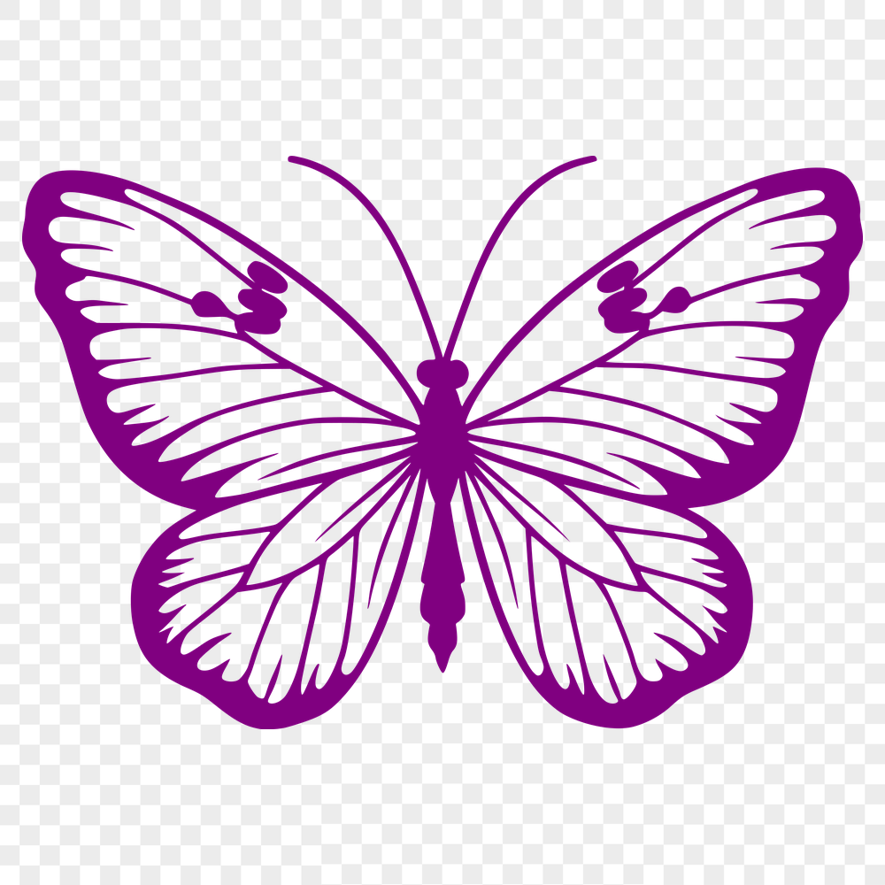 Free Butterfly SVG, PNG, PDF And DXF Files