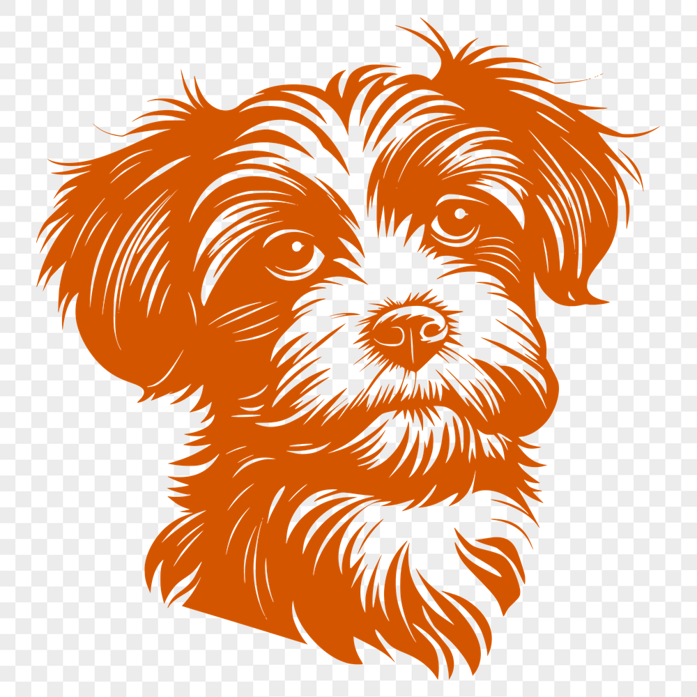 Beautiful Havanese - For Glowforge Project