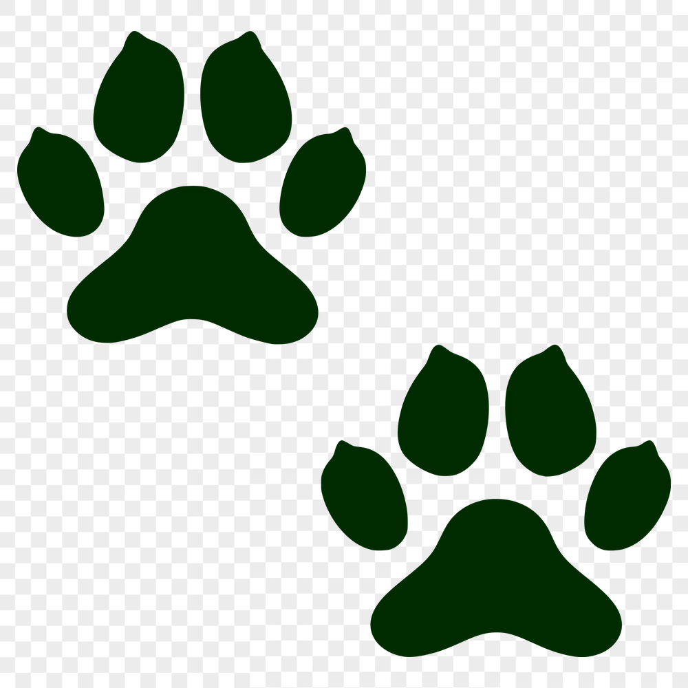 Unique Paw Print Decal PDF - Free Download