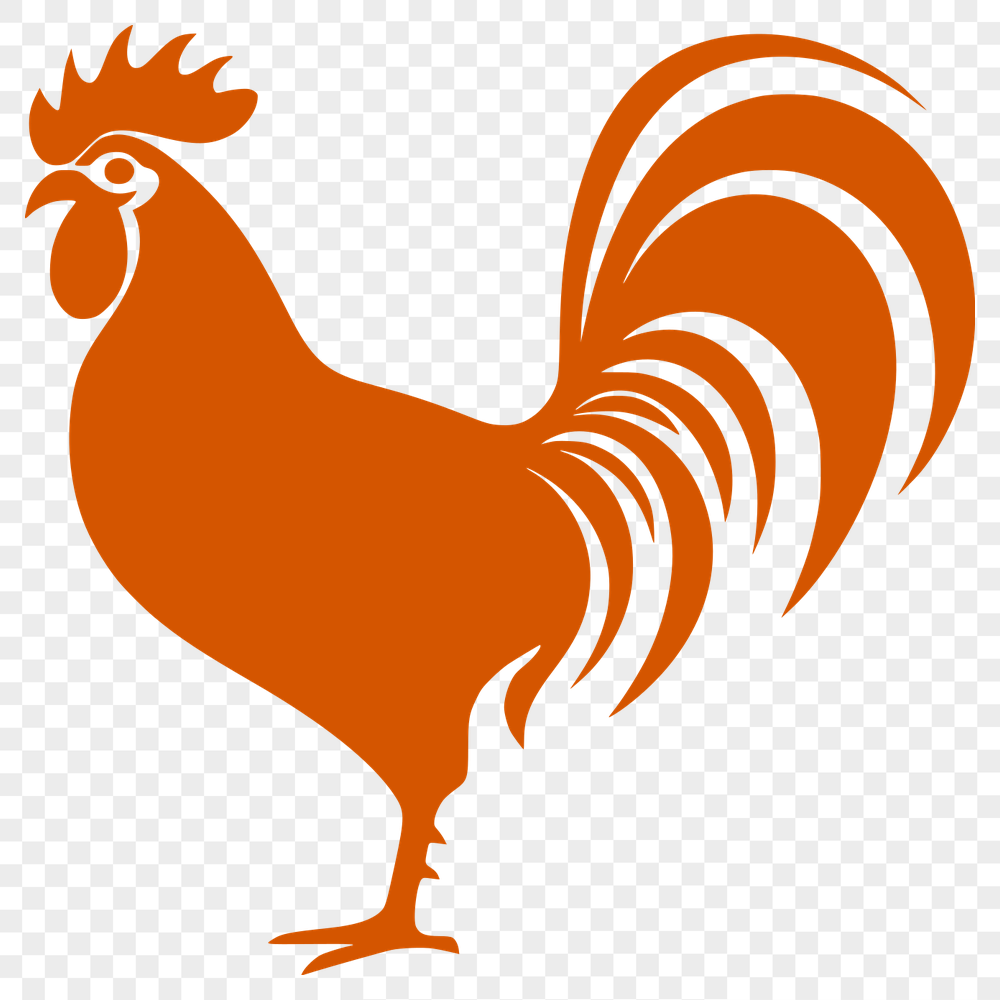 Beautiful Cockerel PNG