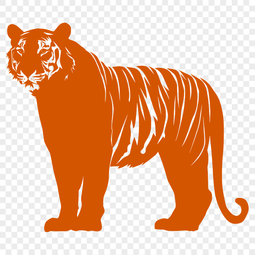 Unique Standing Tiger PDF