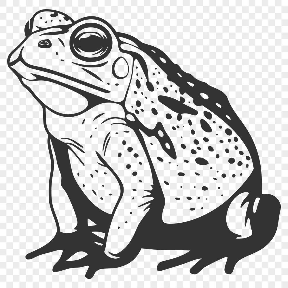 Artistic Toad PNG