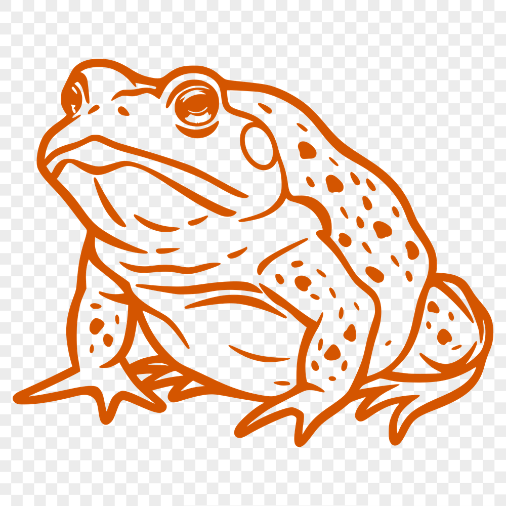 Free Free Toad Digital Art