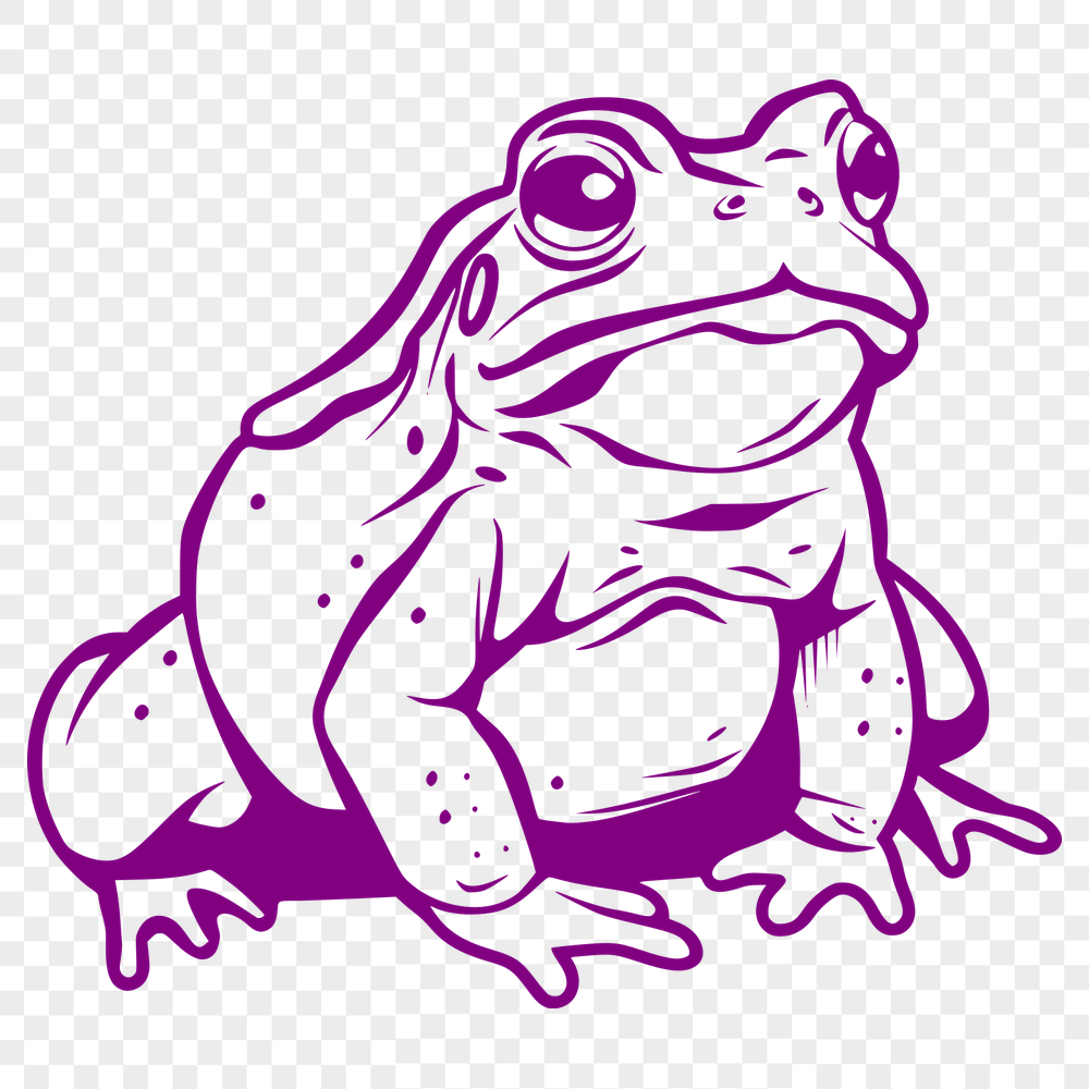 Free Toad Drawing