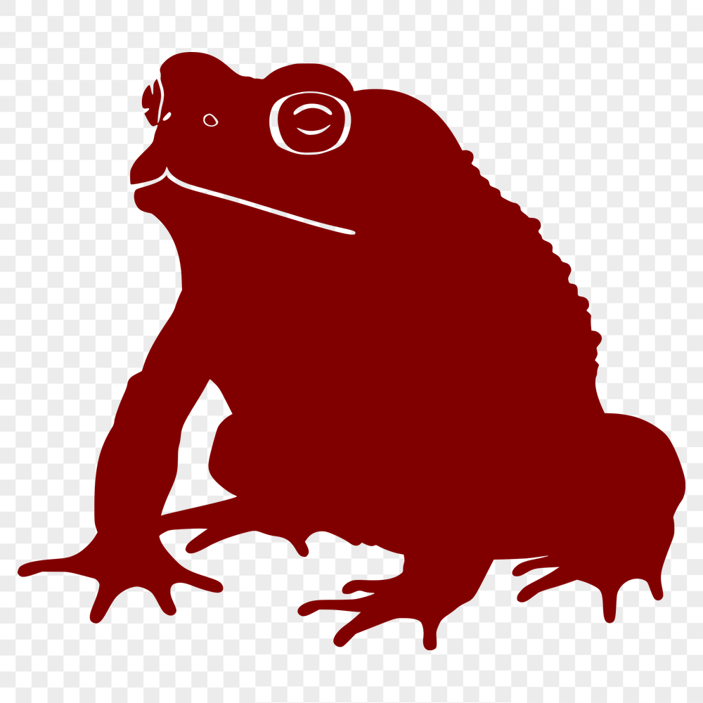 Free Toad Artwork