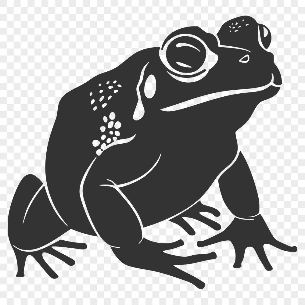 Free Free Toad Artwork