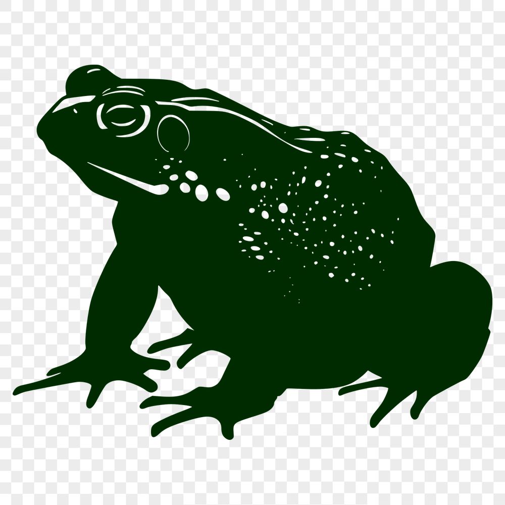 Unique Toad SVG, PNG, PDF And DXF Files