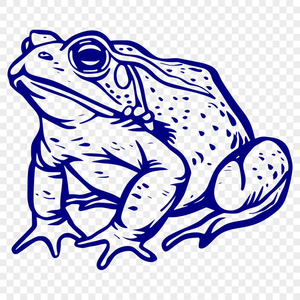 Free Toad PNG