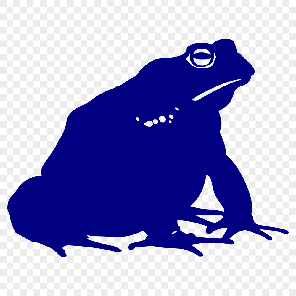 Free Stunning Toad Vector Illustration