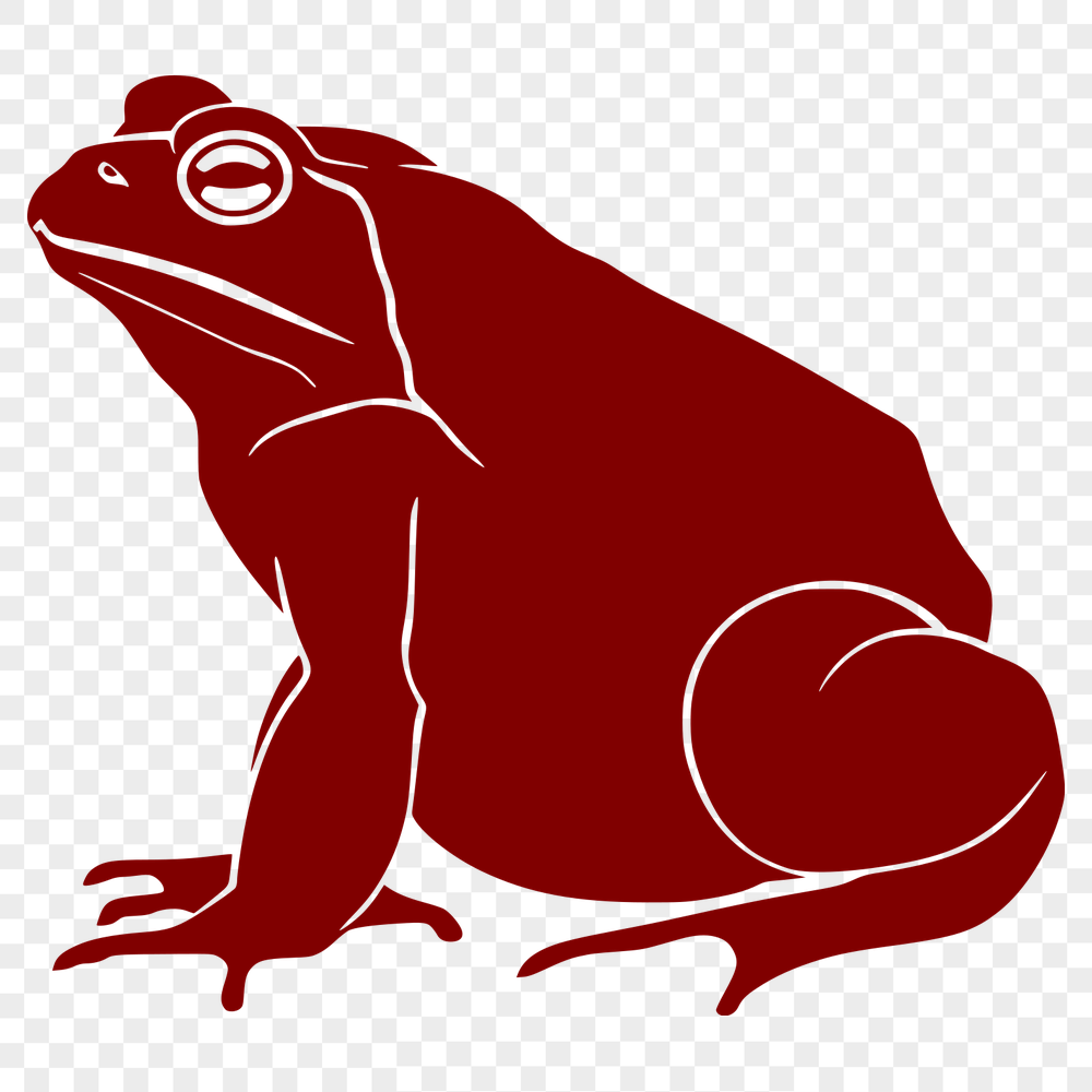 Free Unique Toad Image