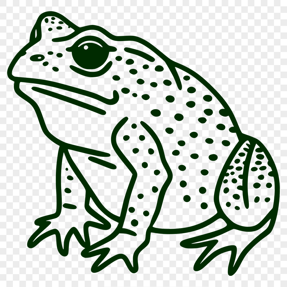 Free Unique Toad Vector Art