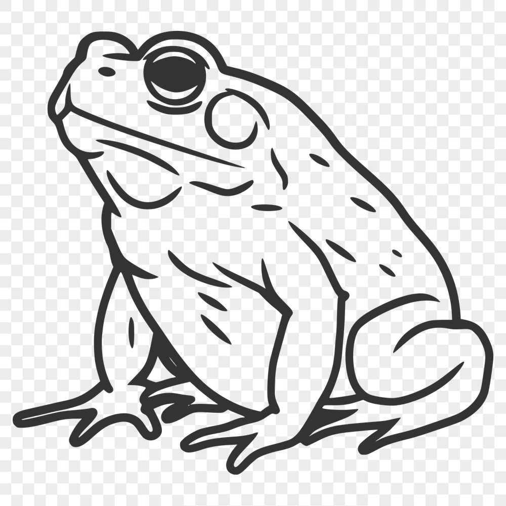 Free Stunning Toad Vector Drawing