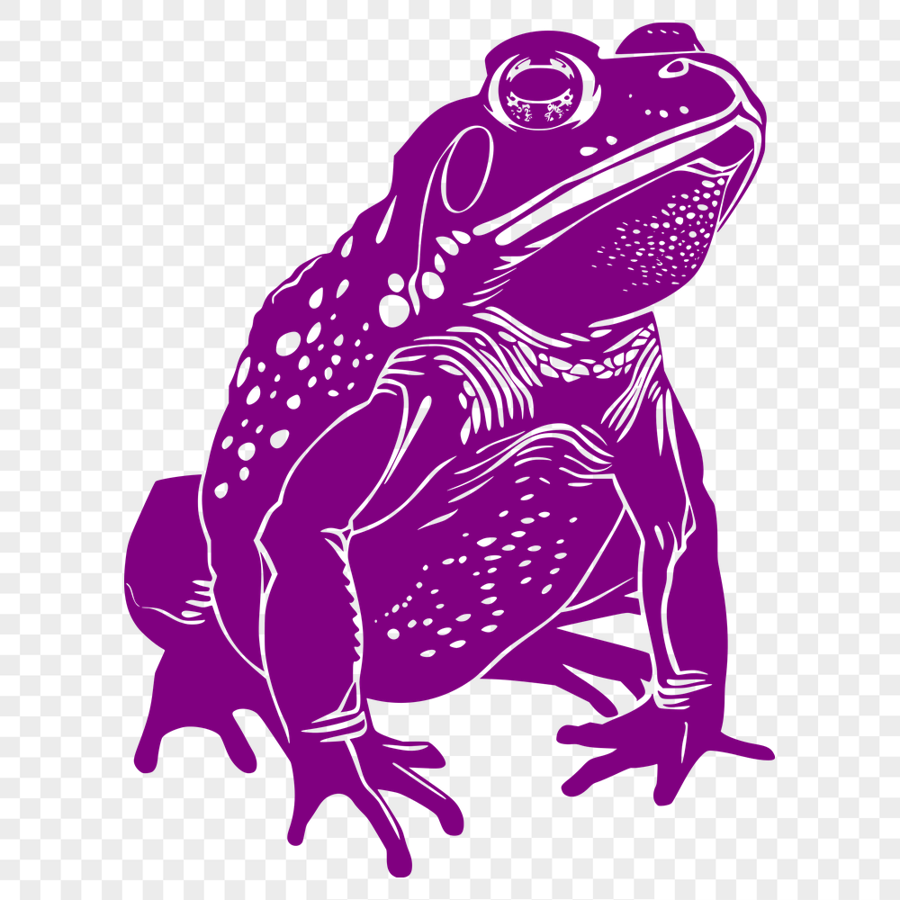 Free Creative Toad Vector Drawing