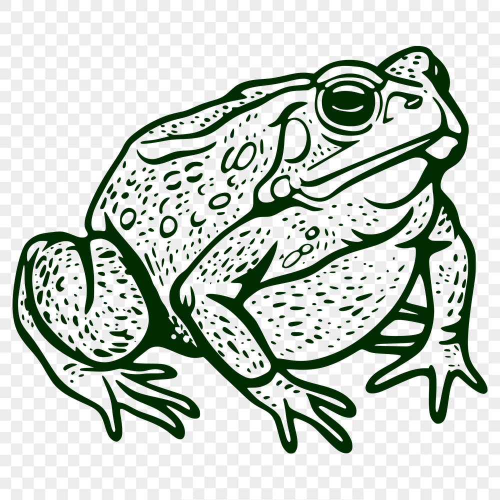 Stunning Toad - For Laser Engraver Project