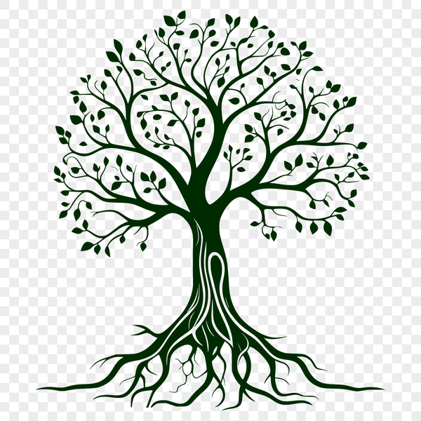 A detailed illustration of a tree, suitable for vector art and commercial or personal use.