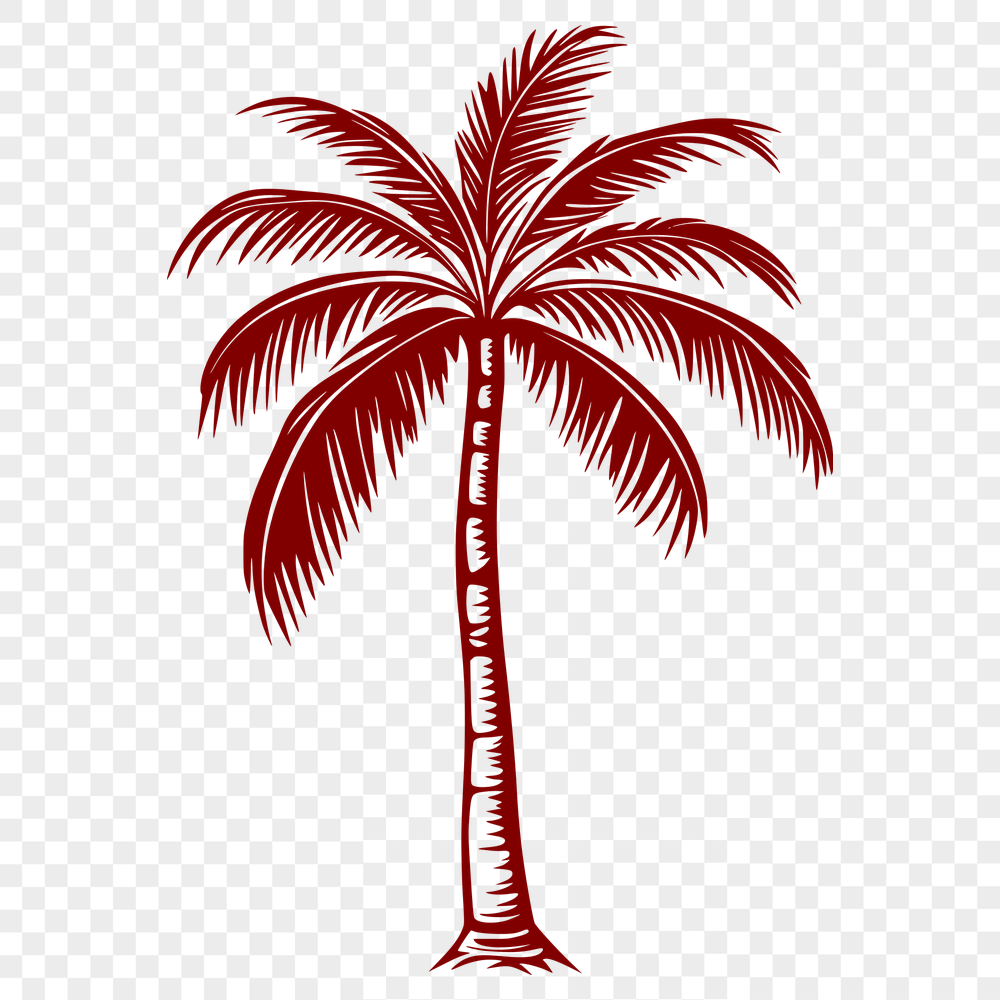 Palm Tree Vector Drawing In PDF File Format For Free Download