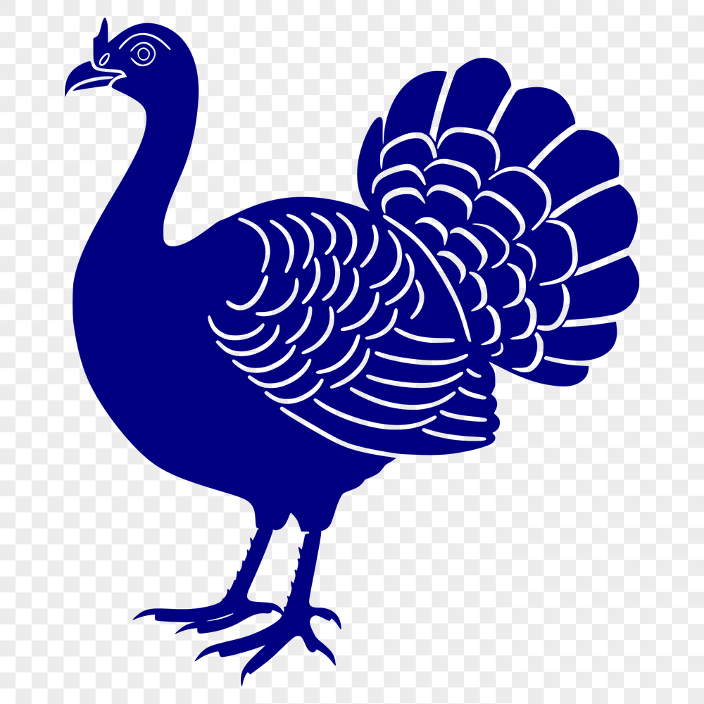 Unique Turkey Printable Image