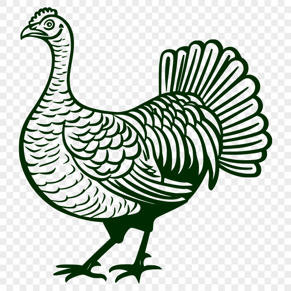 Free Unique Turkey Vector Drawing