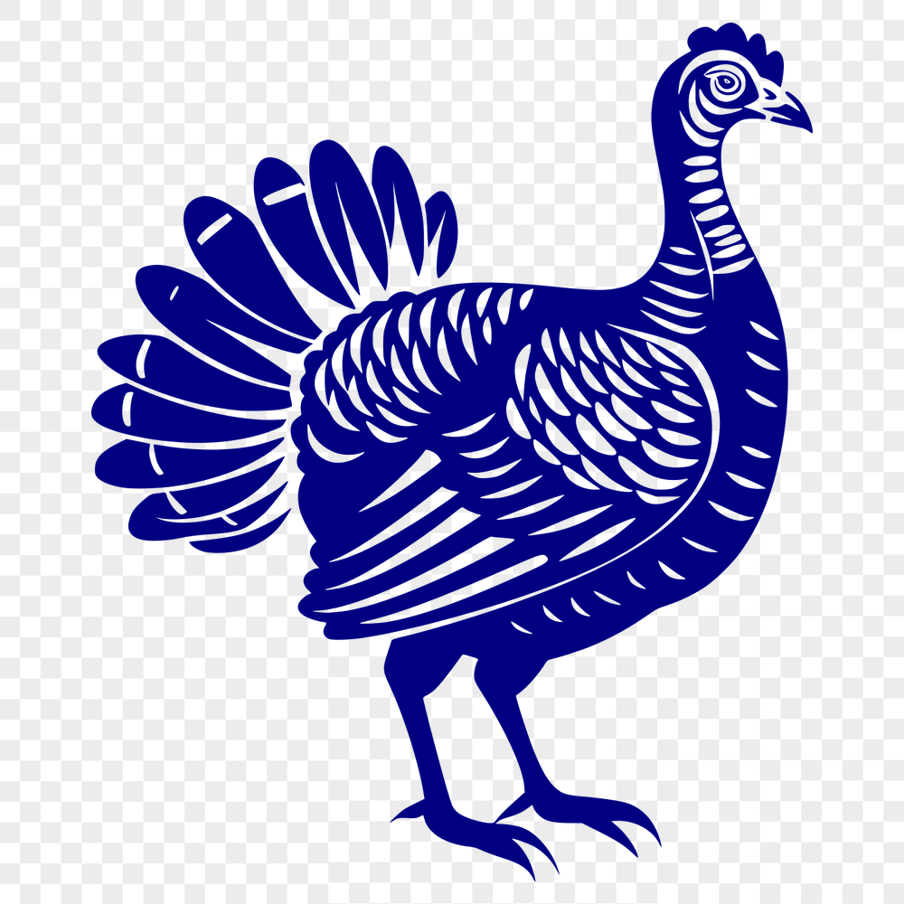 Beautiful Turkey Design