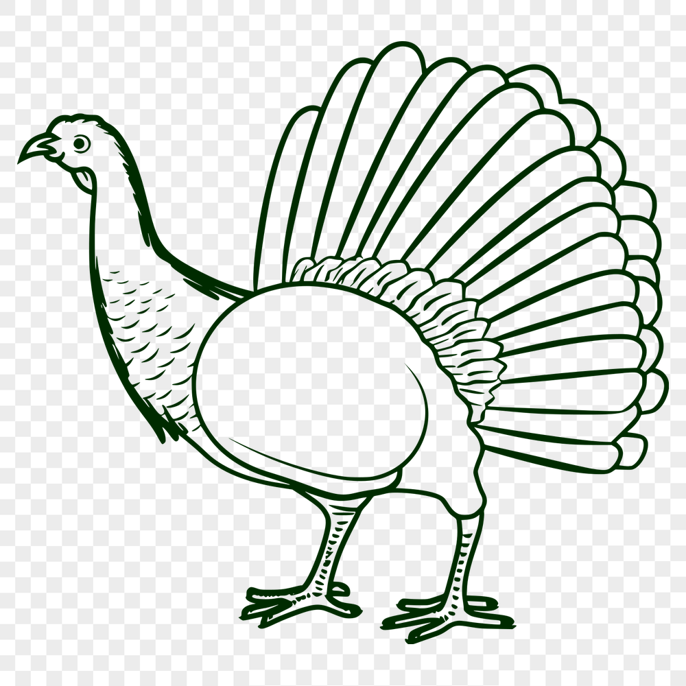 Creative Turkey DXF