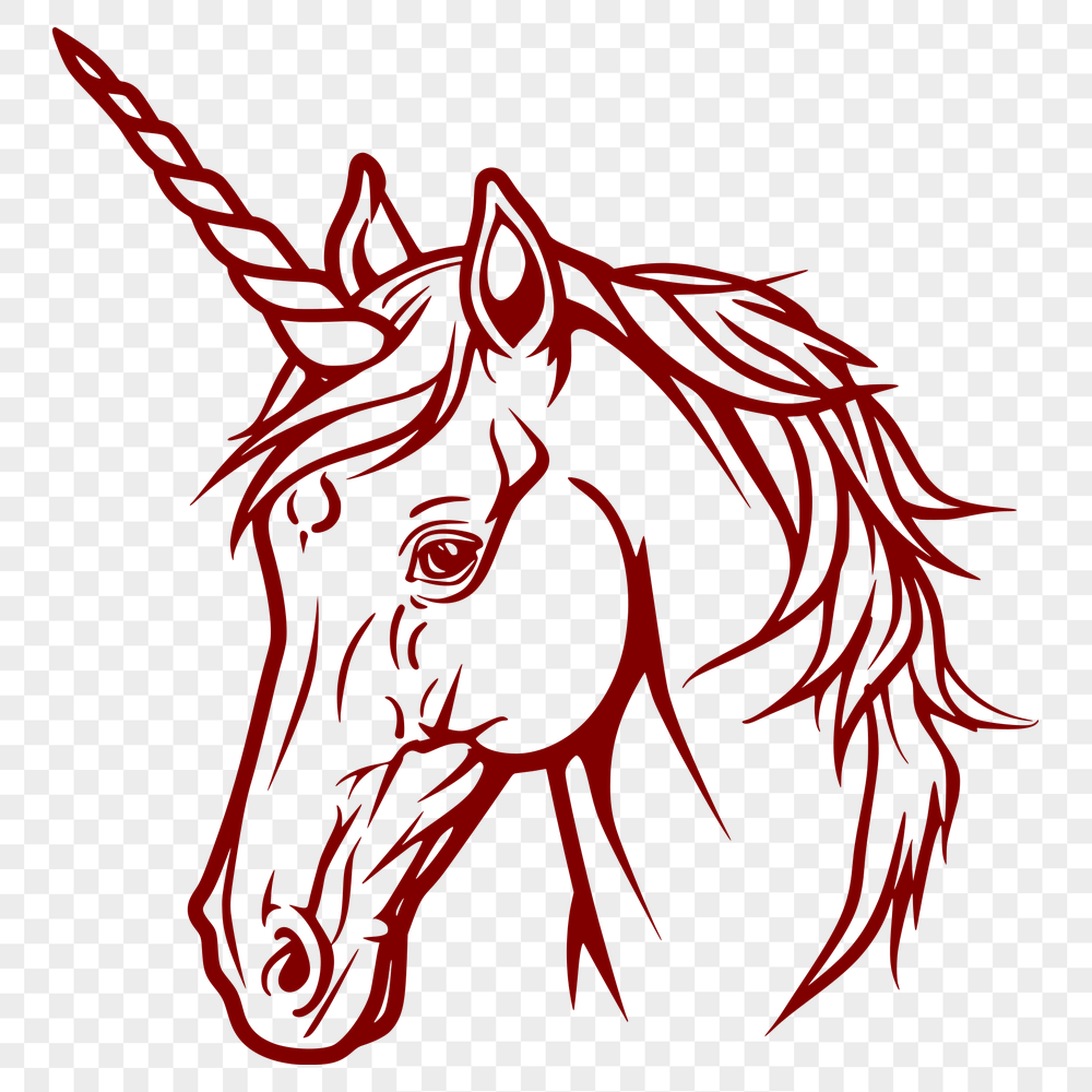 Beautiful Unicorn Image