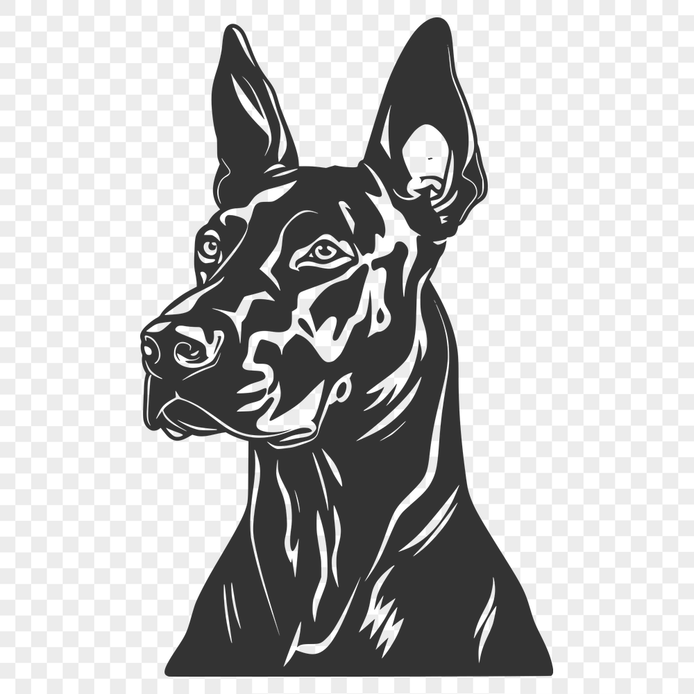 Free Doberman Pinscher Drawing