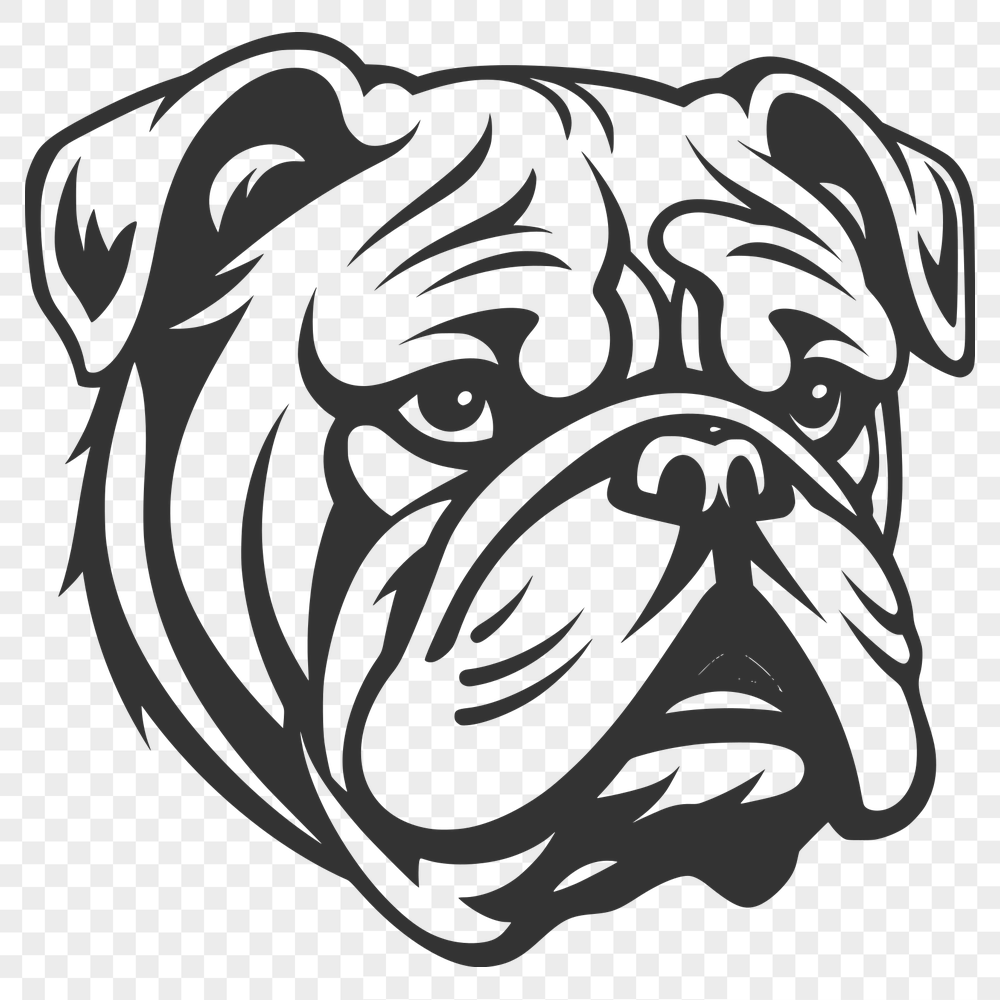 Stunning Bulldog In PDF & PNG