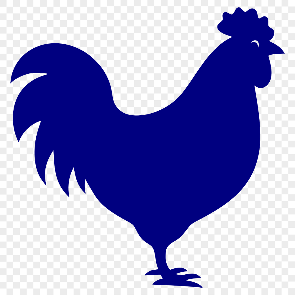 Free Beautiful Chicken Digital Drawing