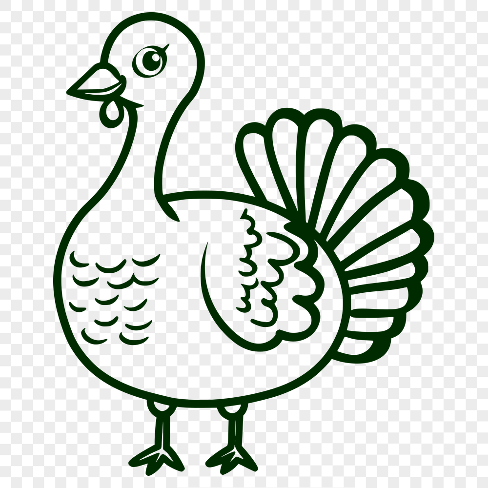 Free Beautiful Turkey Image