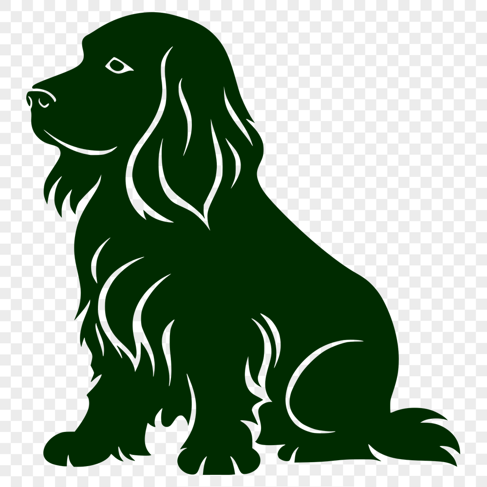 Sitting Cocker Spaniel Illustration