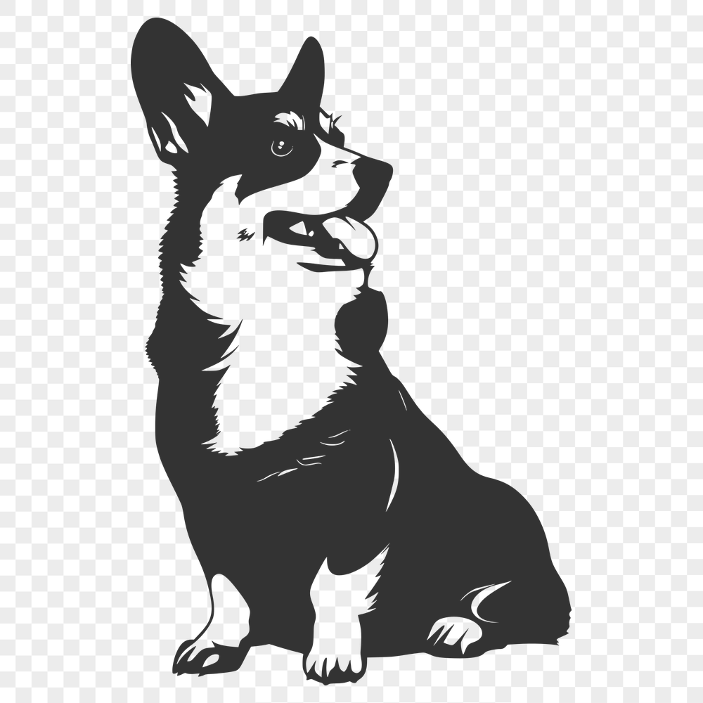 Stunning Sitting Corgi PNG