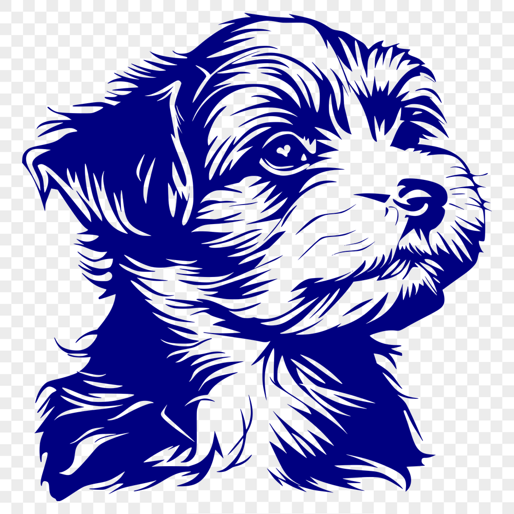 Free Creative Havanese Clipart