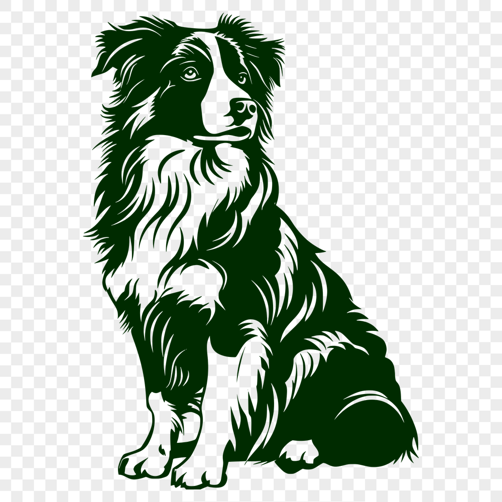 Unique Australian Shepherd Vector Illustration