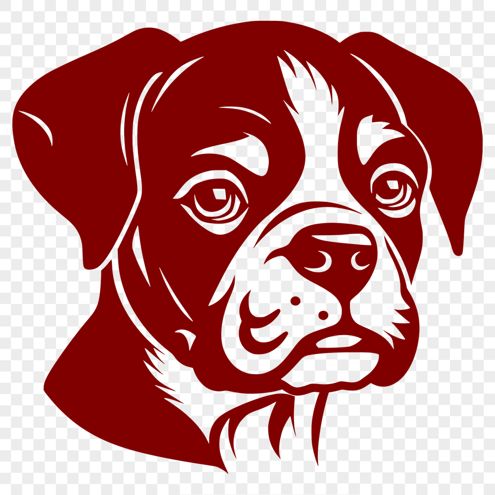 Beautiful Boxer Vector Illustration