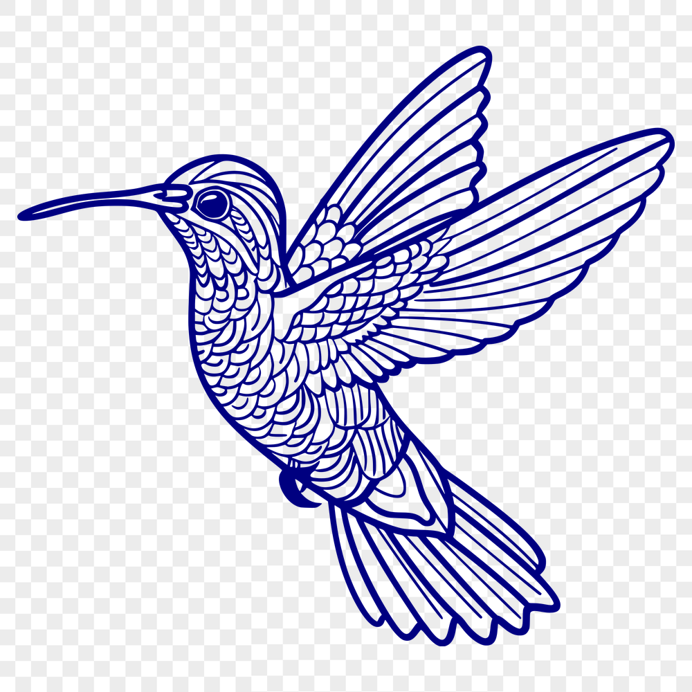 Free Unique Hummingbird Vector Drawing