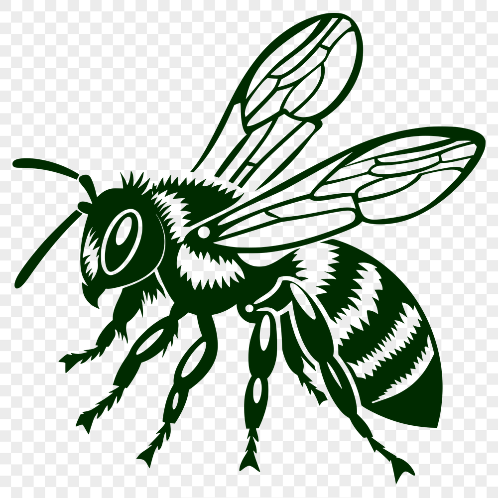 Unique Bee SVG, PNG, PDF And DXF Files