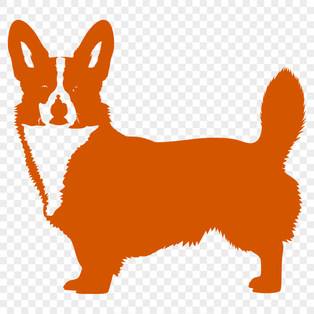 Creative Standing Welsh Corgi Digital Artwork