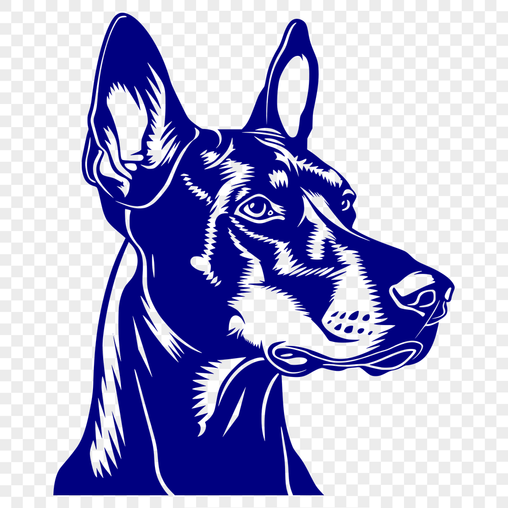 Stunning Doberman Pinscher - For Laser Engraver Project