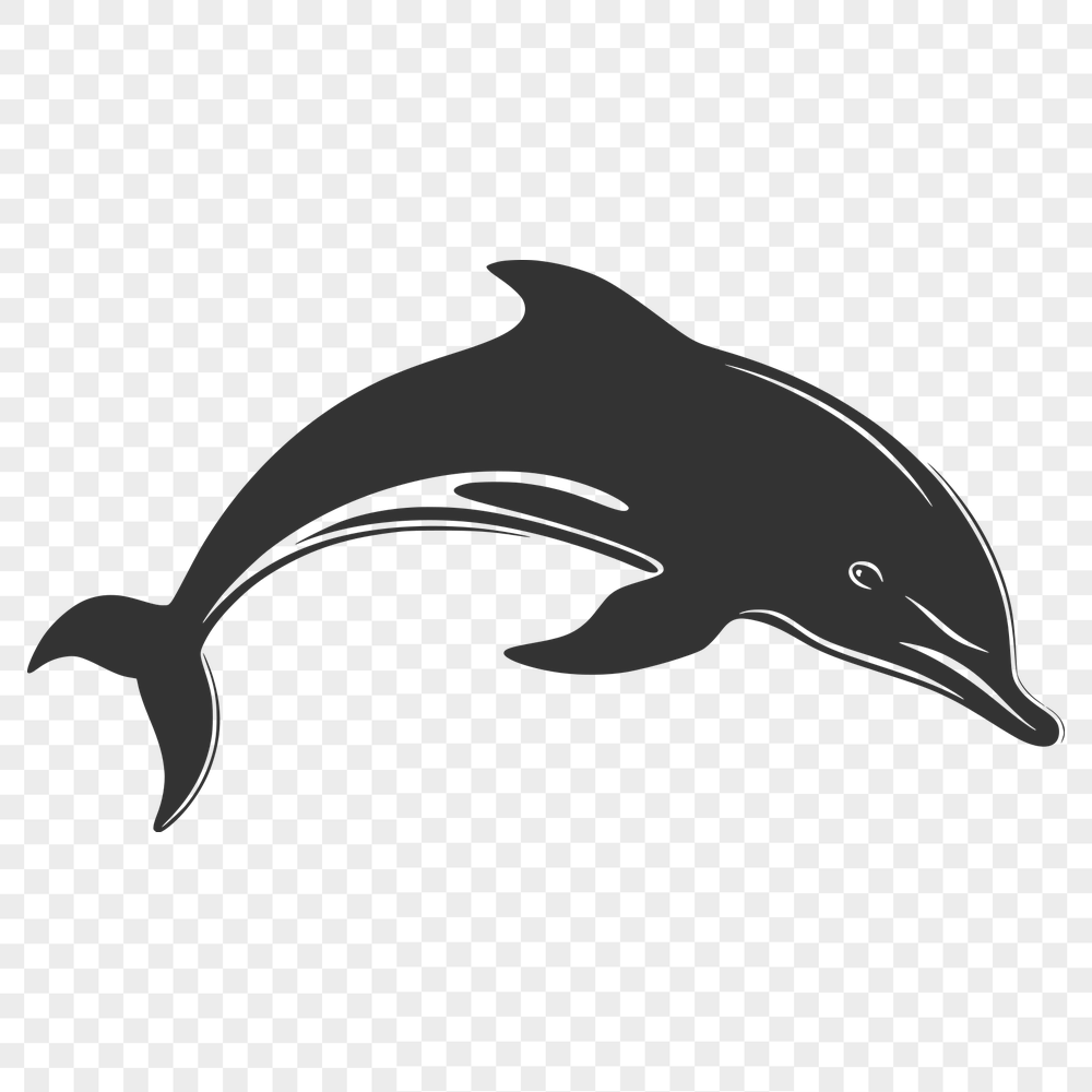 Stunning Dolphin Digital Drawing