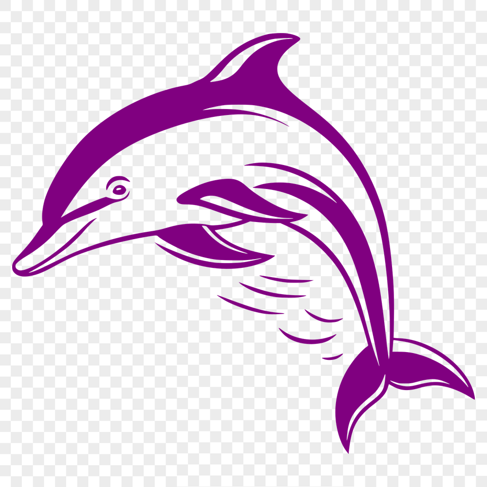 Artistic Dolphin Illustration