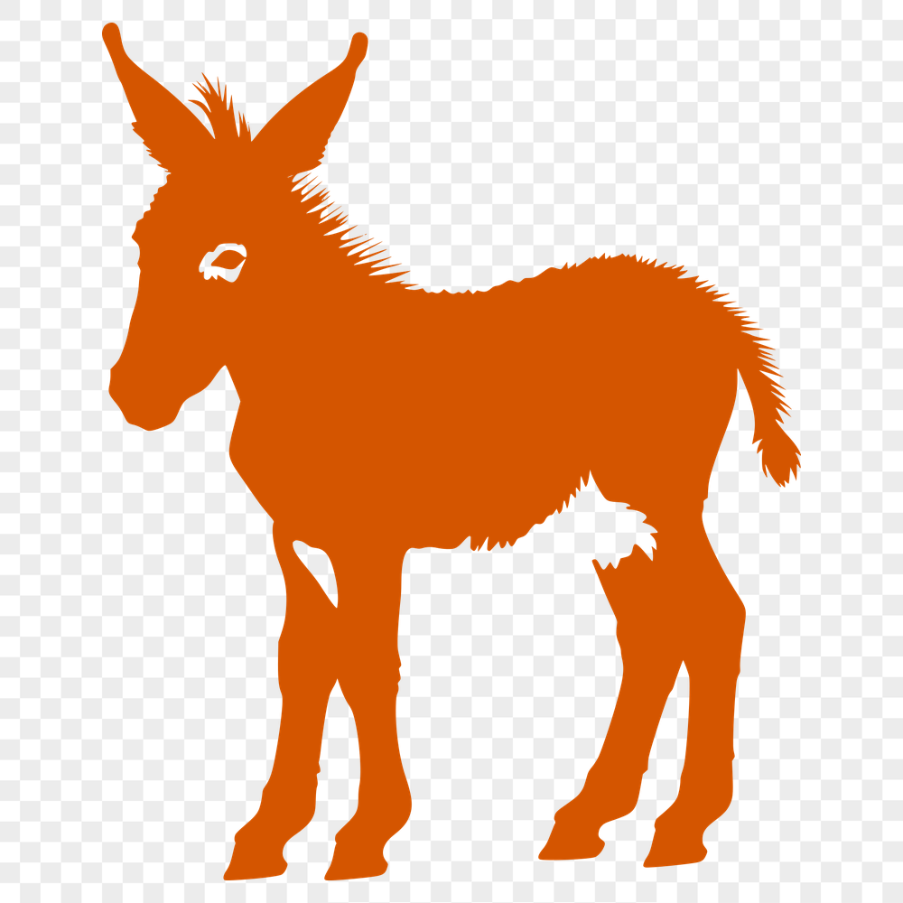 Creative Donkey Clip Art