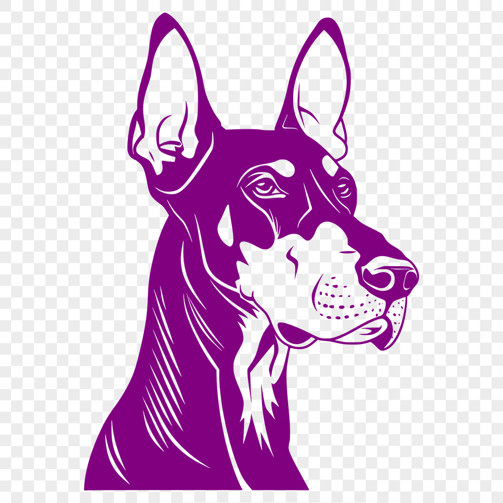 Free Unique Doberman Pinscher Drawing