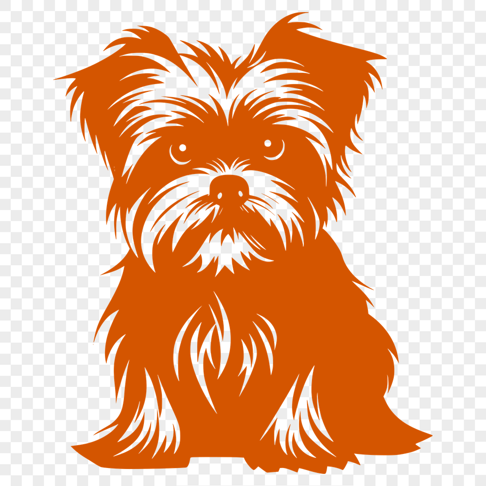 Unique Sitting Morkie PDF