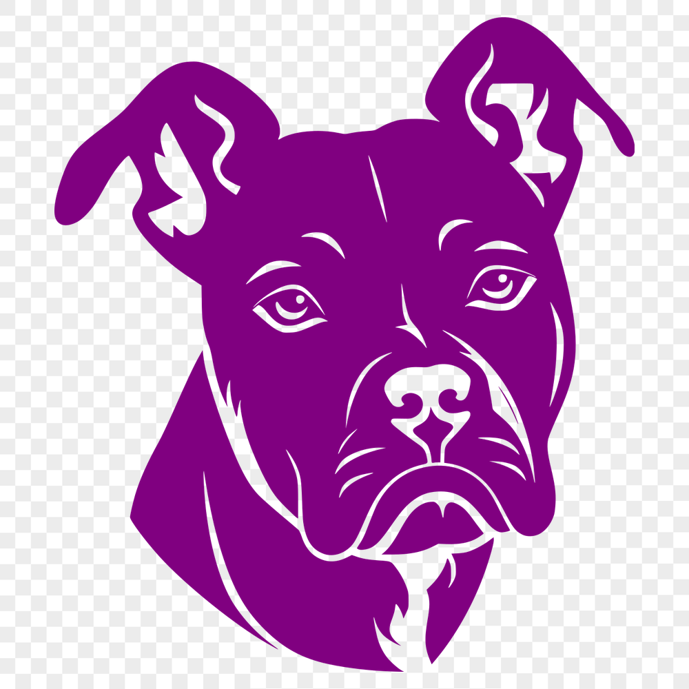 Beautiful Pitbull PNG