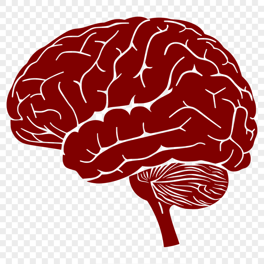 Artistic Brain Vector Art