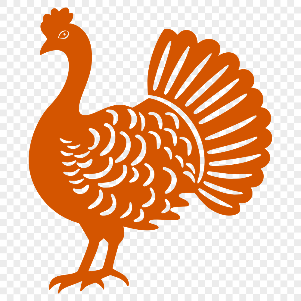 Unique Turkey In PDF