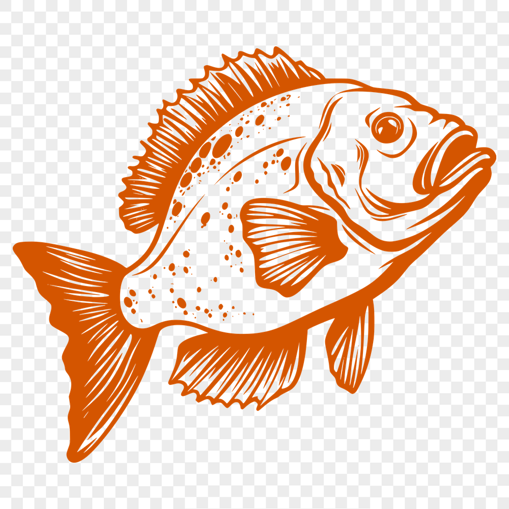 Beautiful Fish Digital Drawing