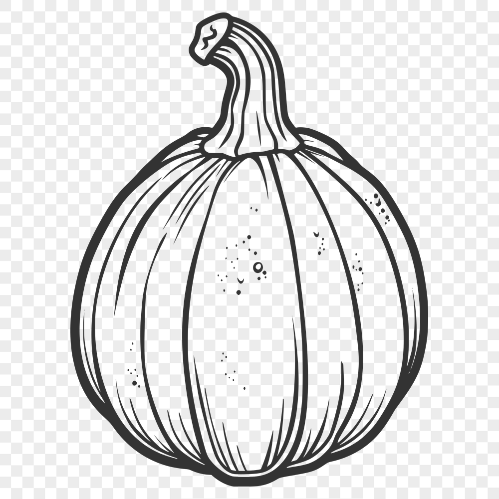 Beautiful Squash Clipart